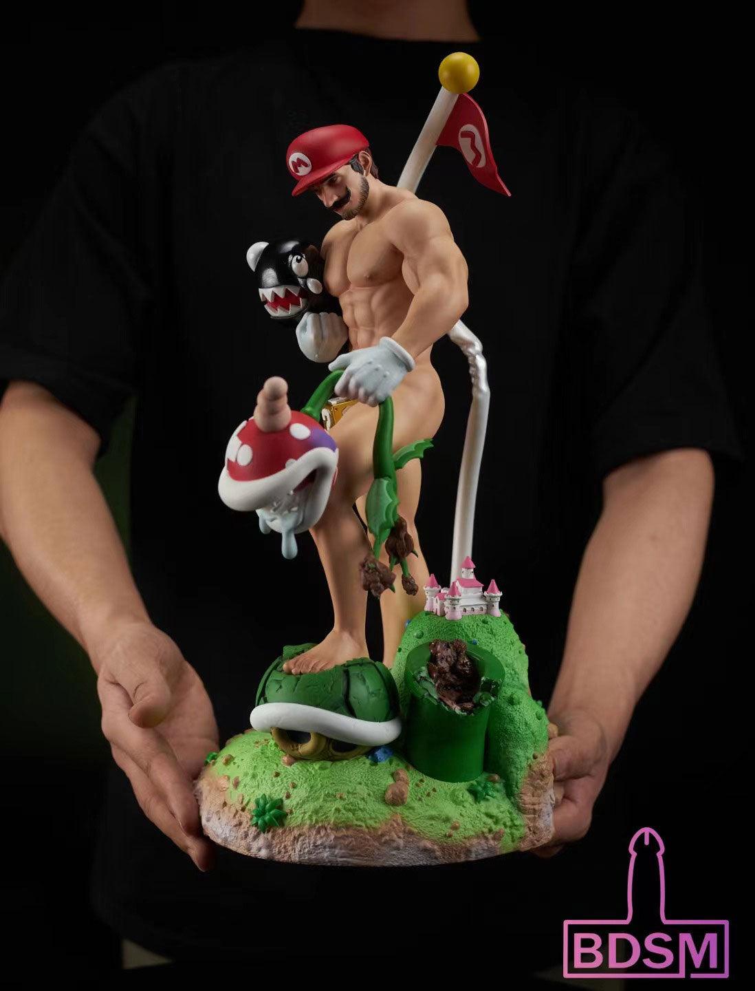 16 Scale The Daily Life of A Plumber Super Mario - Super Mario Resin  Statue - BDSM Studio [Pre-Order]