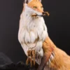 Licensed Guardian Spirit Fox V2 - Original Design Resin Statue - Manas Workshop - Image 6