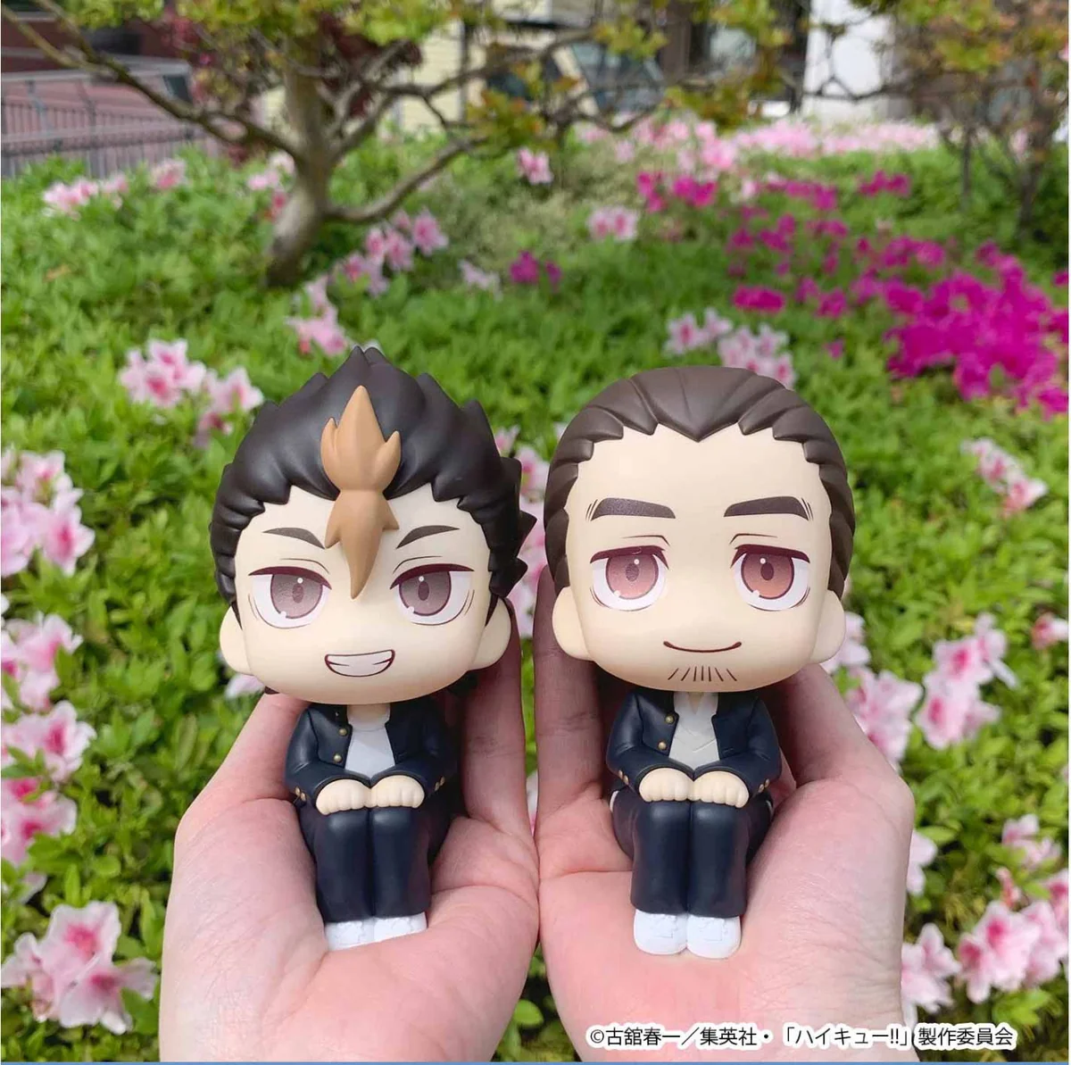 "Adorable Haikyuu!! Nishinoya Yuu & Azumane Asahi Lookup figures by MegaHouse, charming chibi-style seated pose, exclusive set."